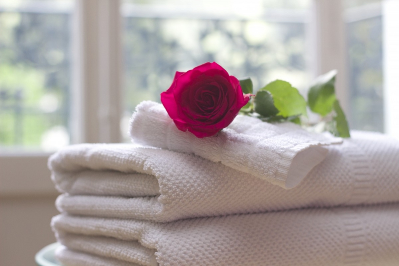 chambre-hote-LA CRAU-min_towel_rose_clean_care_salon_spa_white_bath-731641